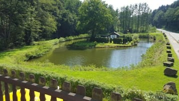 Habitación doble, 1 cama doble o 2 individuales | Vistas al lago