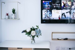 Television - Oasis Boutique House (Saipan)