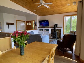 Smart TV, fireplace, Netflix, toys