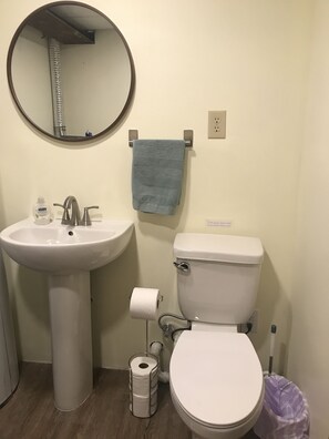 Bathtub, hair dryer, towels, soap