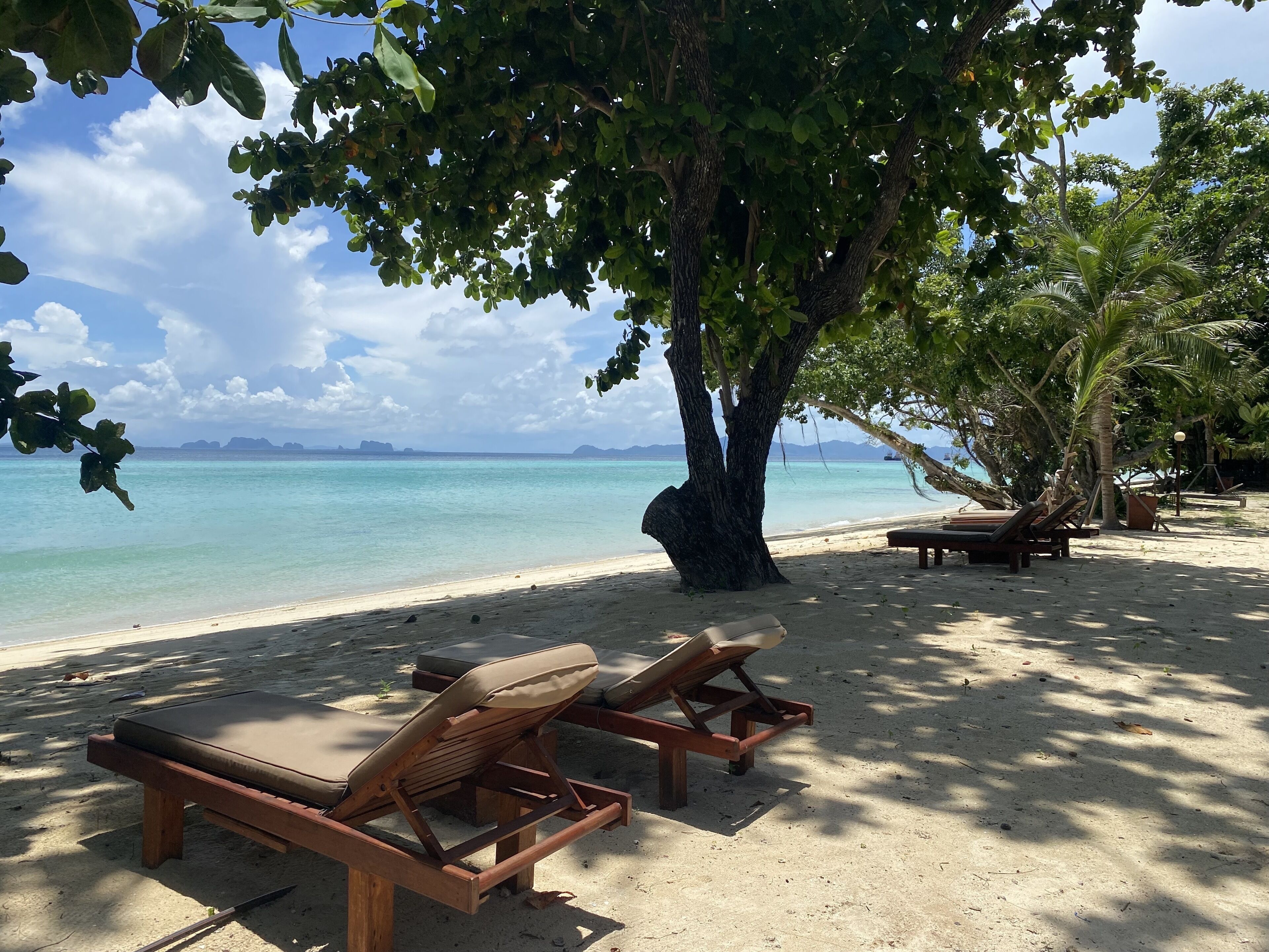 A beach with wooden lounge chairs and a large tree providing shade.