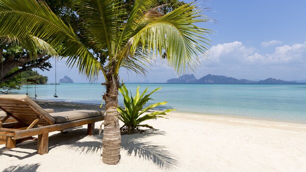 A beach with a wooden lounge chair, a palm tree, and a clear view of the ocean. - Mali Koh Kradan (Ko Kradan)