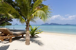 A beach with a wooden lounge chair, a palm tree, and a clear view of the ocean. - Mali Koh Kradan (Ko Kradan)