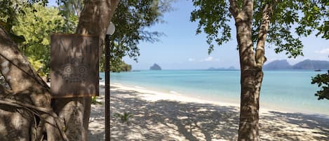 Vue sur la plage/l’océan