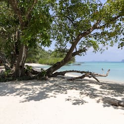 在海滩、白沙、间海滩酒吧