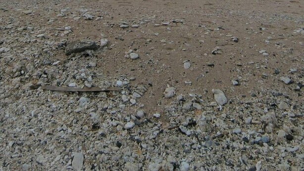 Una playa rocosa con una pequeña isla a lo lejos.