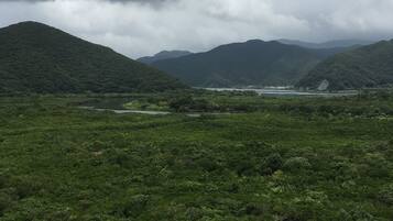 A lush green landscape with hills and a river.