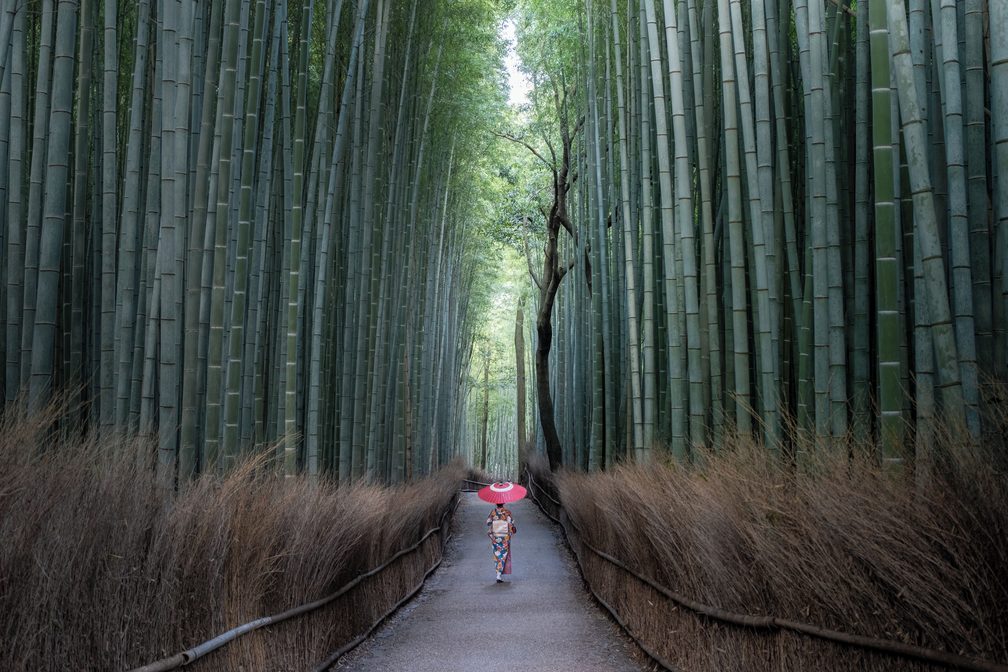 Foto - The Hotel Seiryu Kyoto Kiyomizu - a member of the Leading Hotels of the World-