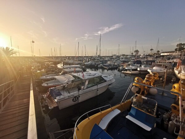 Marina