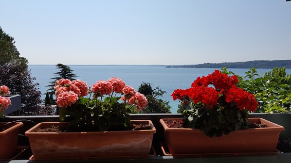 Property grounds - The terrace on the lake - Villa Claudia (Padenghe Sul Garda)