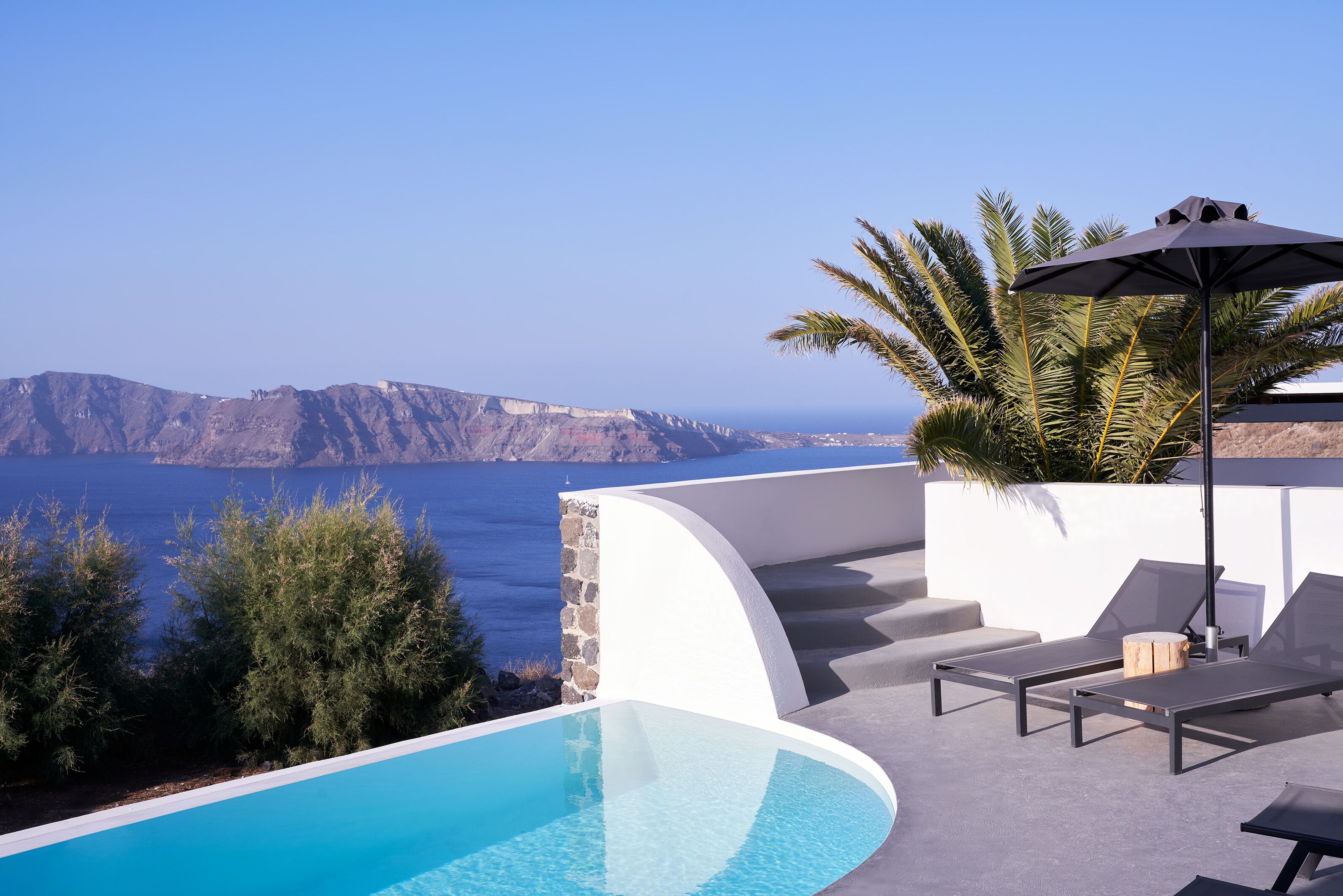 A poolside area with a view of the sea, lounge chairs, and a palm tree.