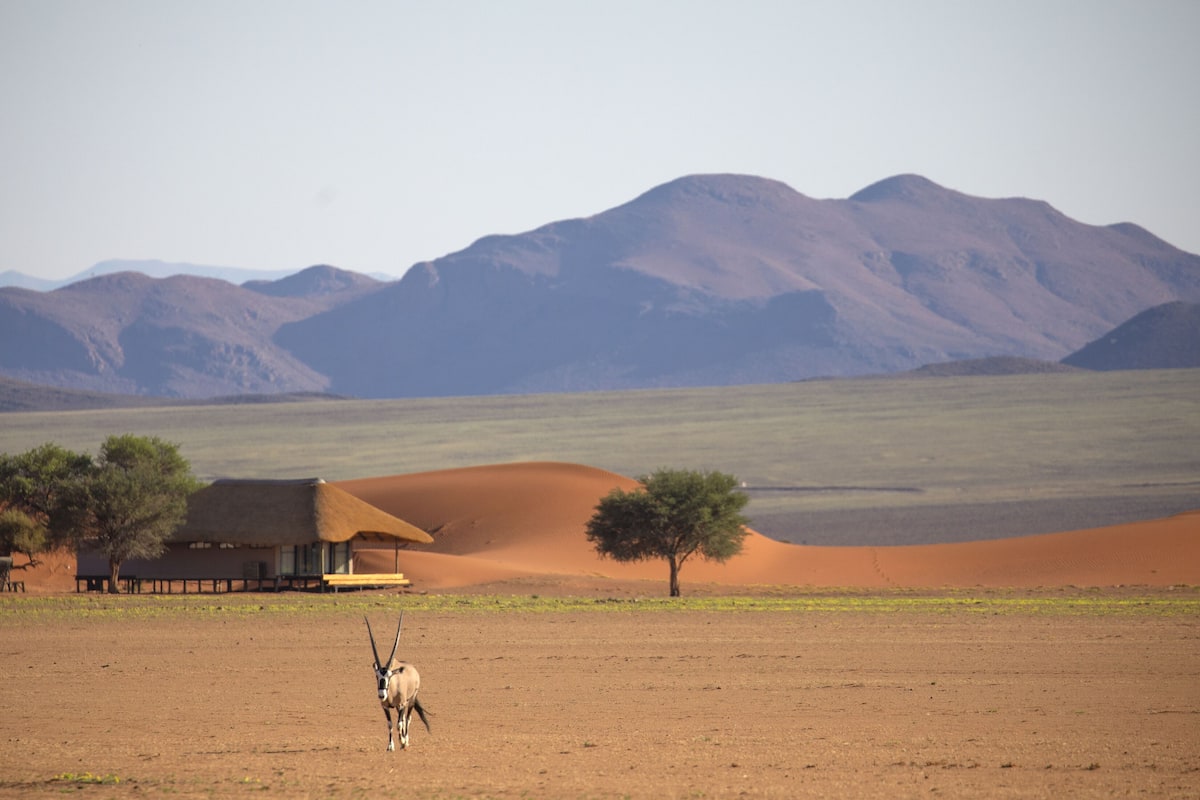 A desert landscape with sand dunes, a few trees, and a small structure.