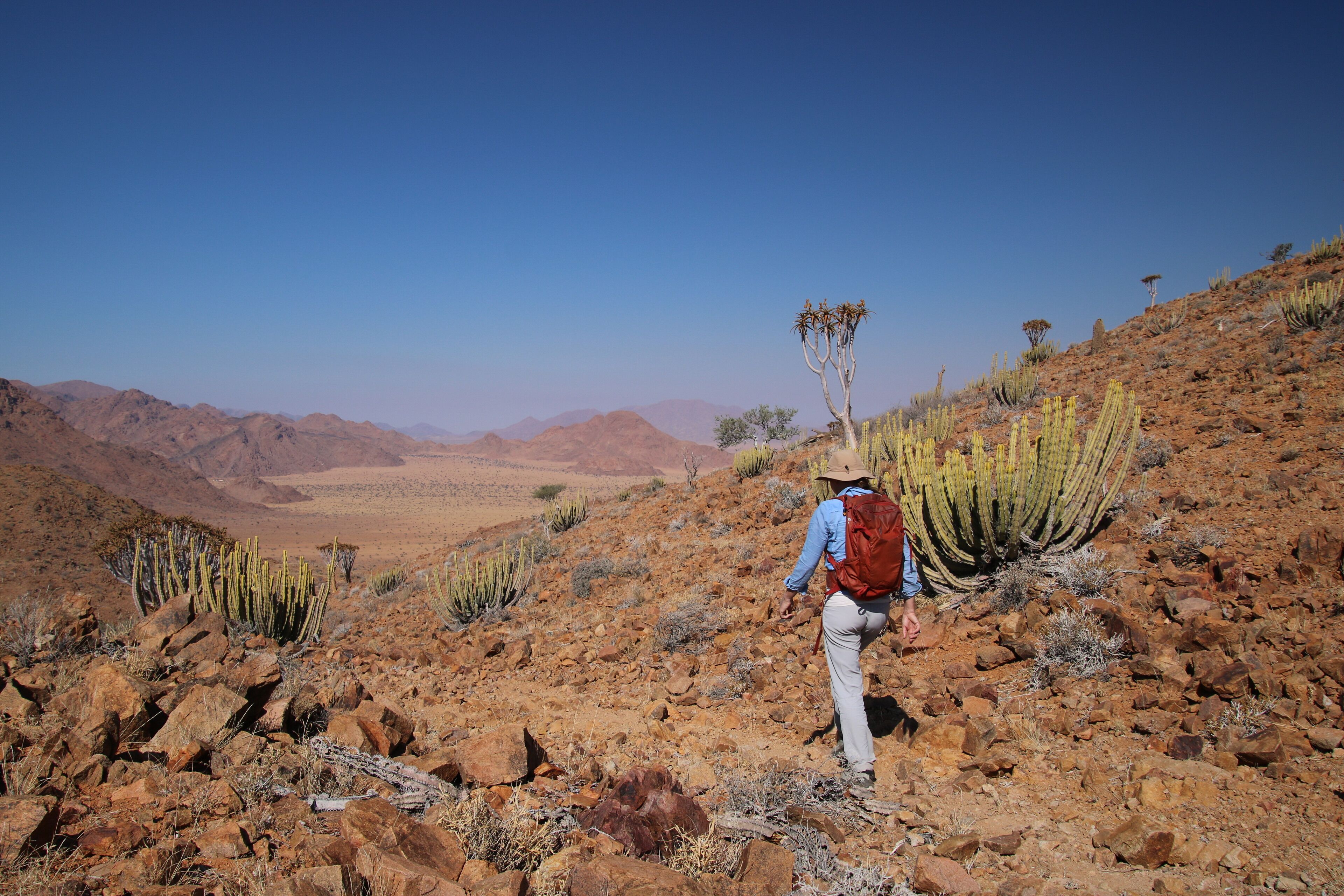 Un excursionista en un paisaje desértico con vegetación escasa y montañas a lo lejos.