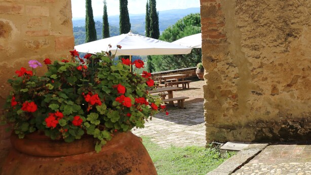 Un área de estar al aire libre de estilo rústico con un muro de piedra, una jardinera grande con flores rojas y vistas a árboles y colinas lejanas.