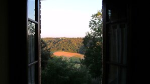 Vista a través de una ventana abierta que muestra un paisaje con una colina y árboles.