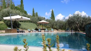 Piscina con sillas de descanso y sombrillas, rodeada de follaje y árboles.