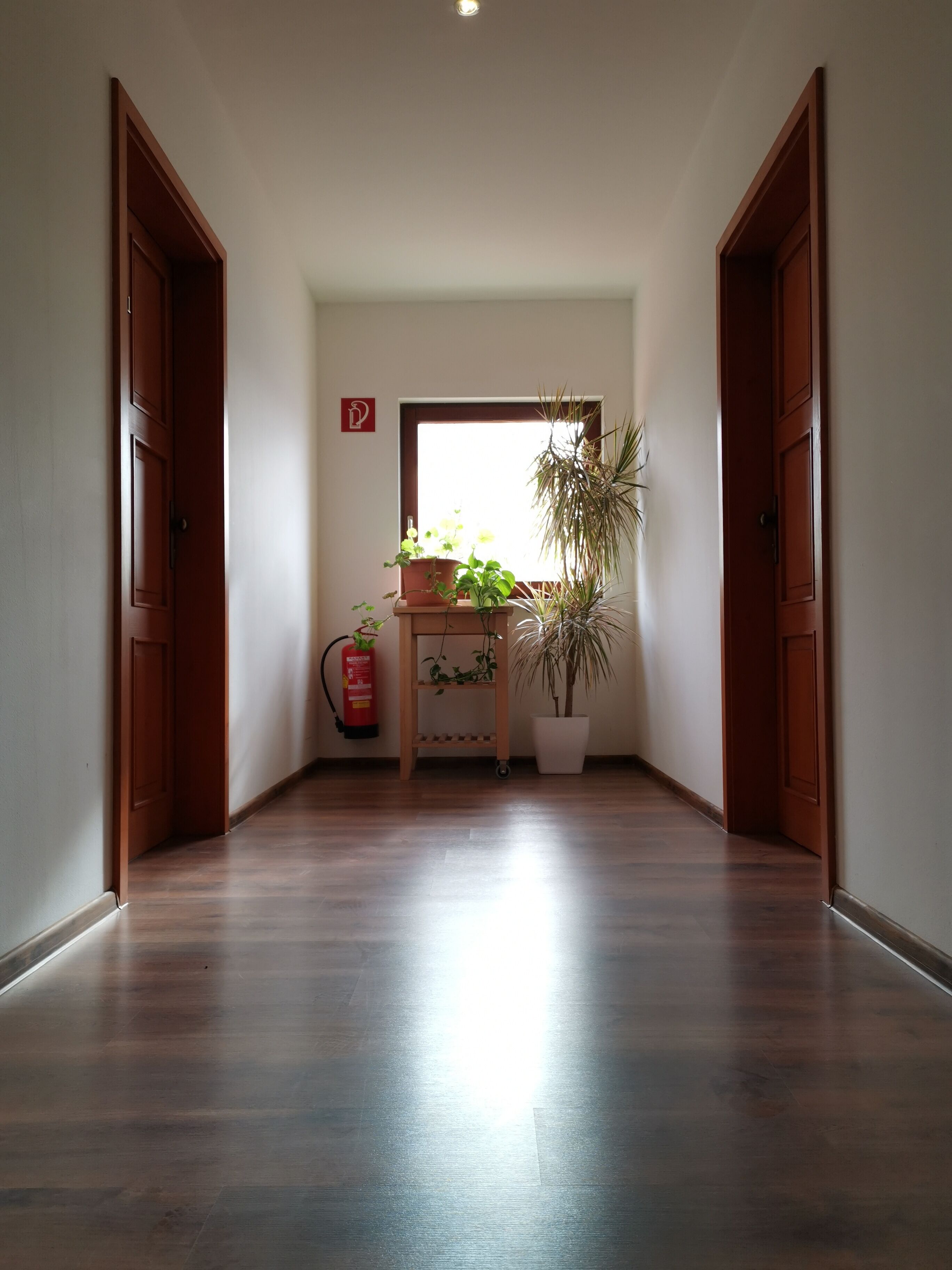 Lorong