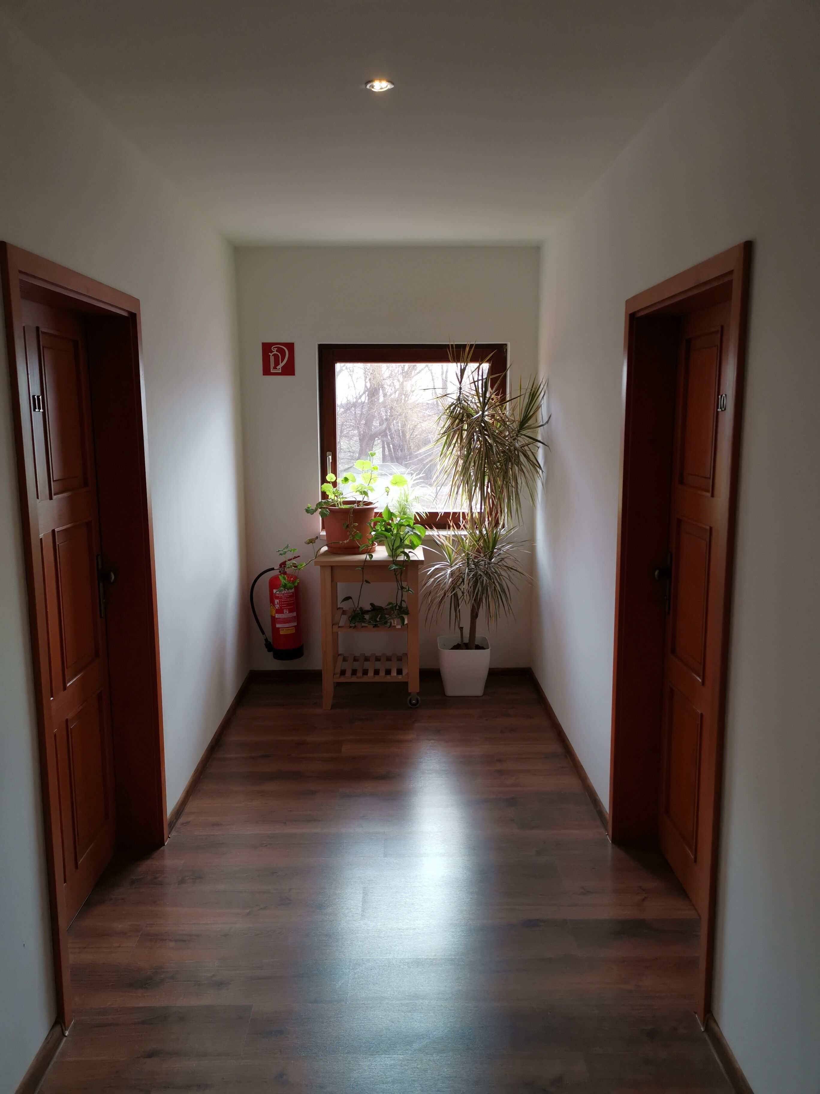 A hallway with wooden flooring, a window with a view of trees, and a fire extinguisher on the wall.