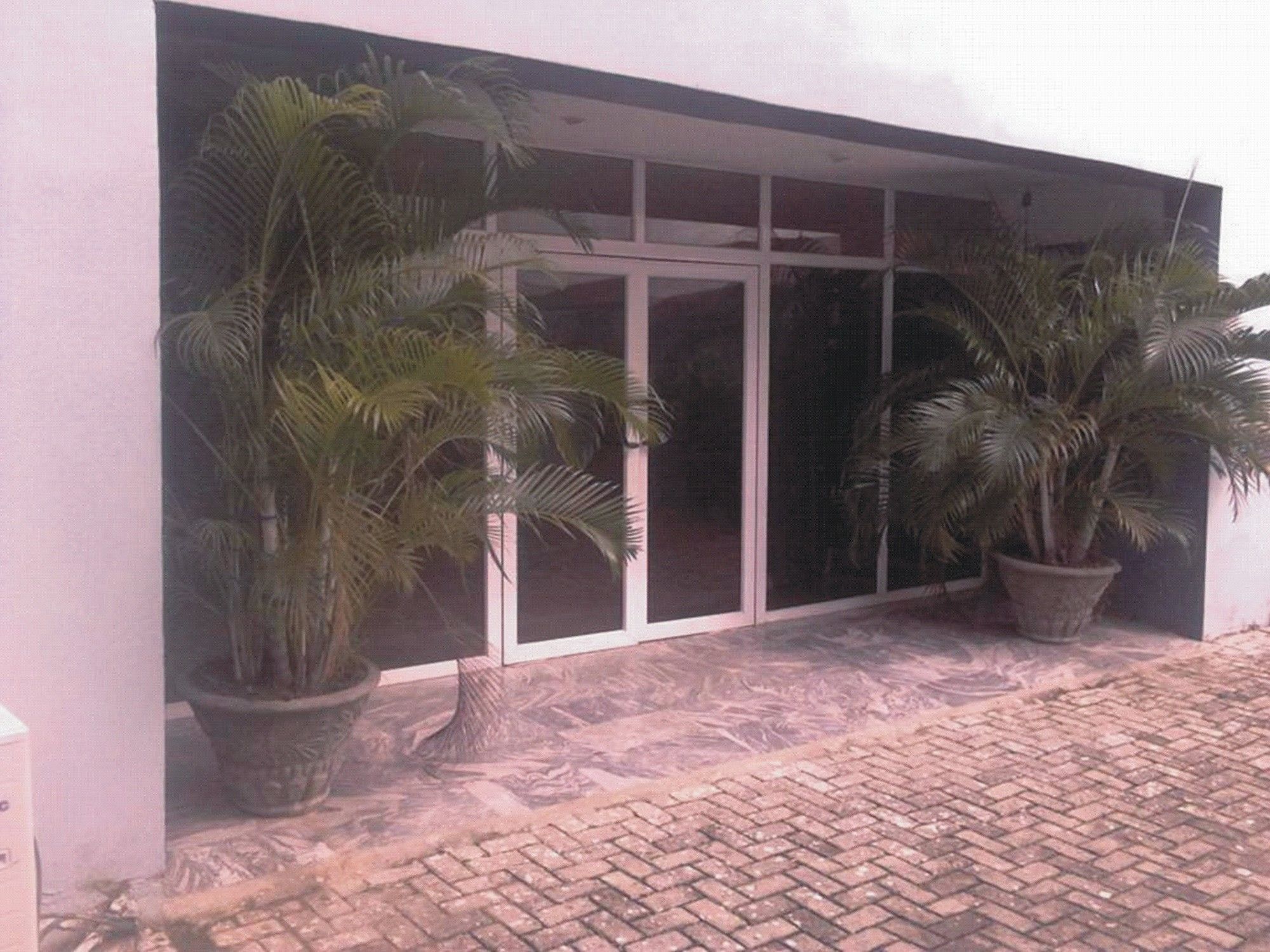 Un edificio de diseño moderno, con amplios ventanales y palmeras en macetas al frente.