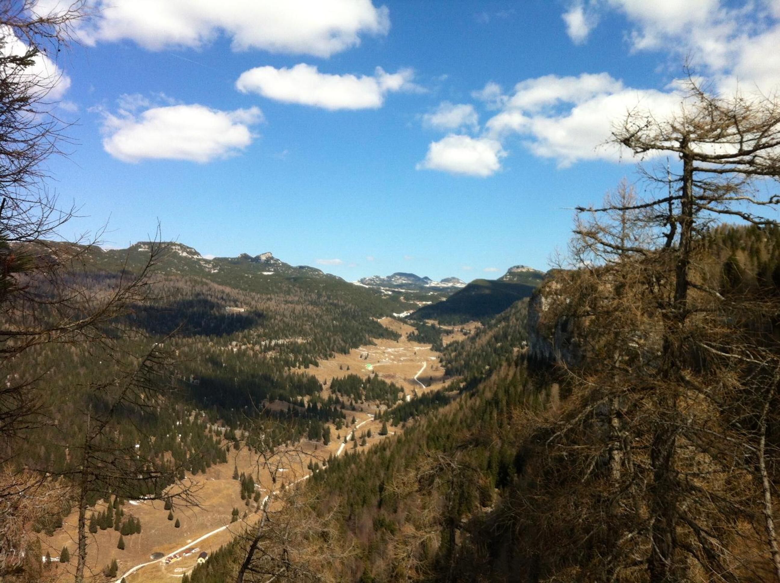 Paisaje montañoso con cielo despejado, bosques frondosos y un camino sinuoso.
