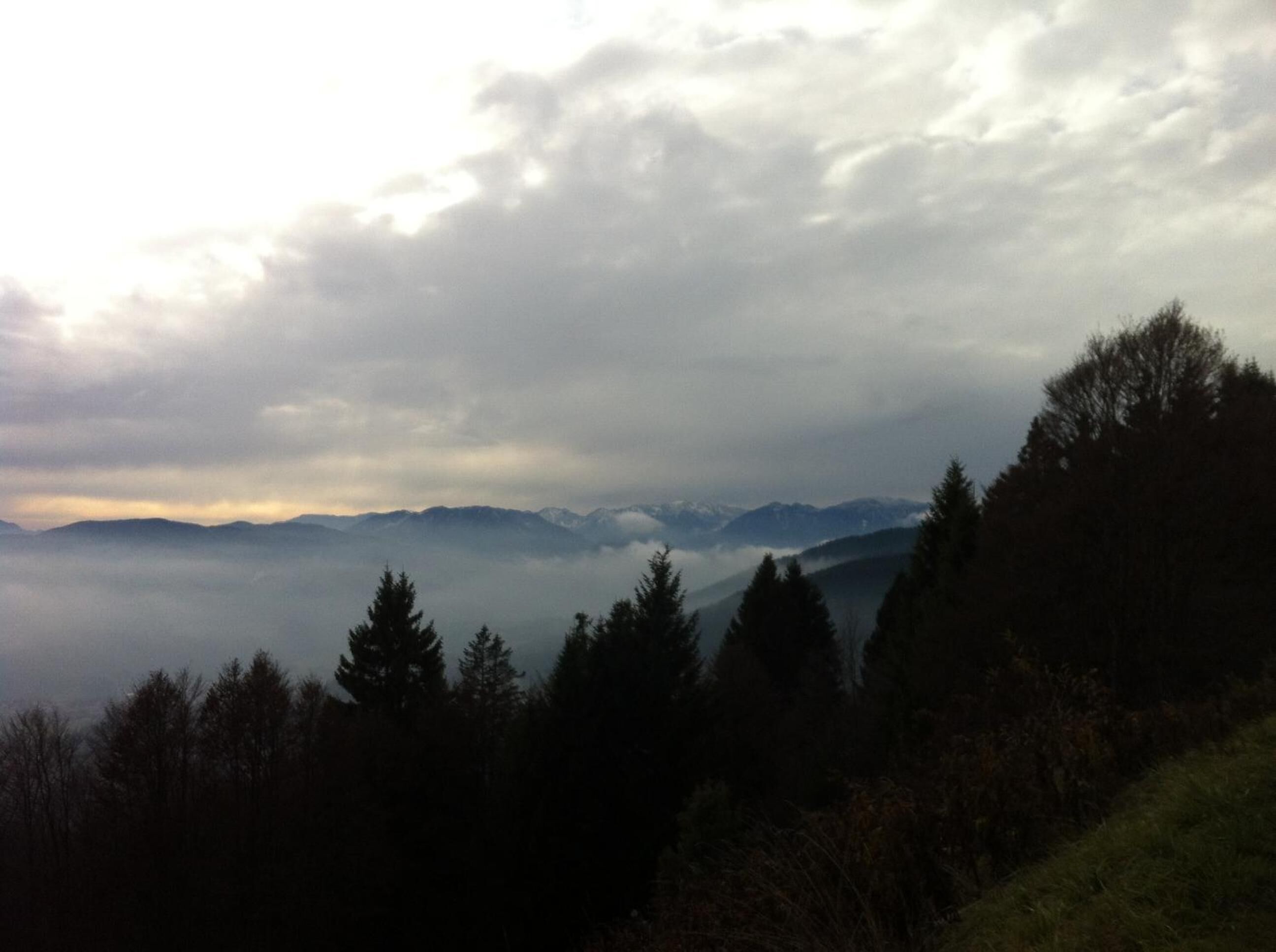 Een bergachtig landschap met dichte bossen en een uitzicht op verre bergen.