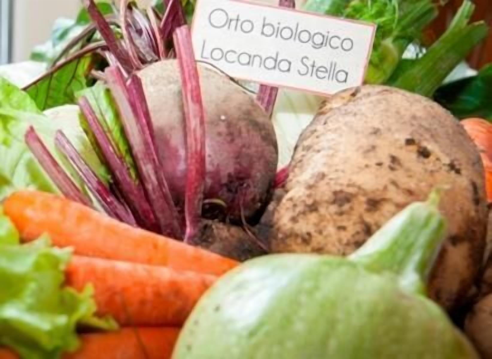 On y trouve une variété de légumes frais, notamment des betteraves, des carottes et une courge, avec une pancarte indiquant « Potager biologique Locanda Stella ».