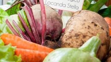 On y trouve une variété de légumes frais, notamment des betteraves, des carottes et une courge, avec une pancarte indiquant « Potager biologique Locanda Stella ».