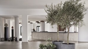 Un interior moderno con mostrador de recepción, plantas en macetas grandes y un diseño minimalista.