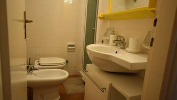 Dusche, Bidet, HandtĂŒcher, Toilettenpapier