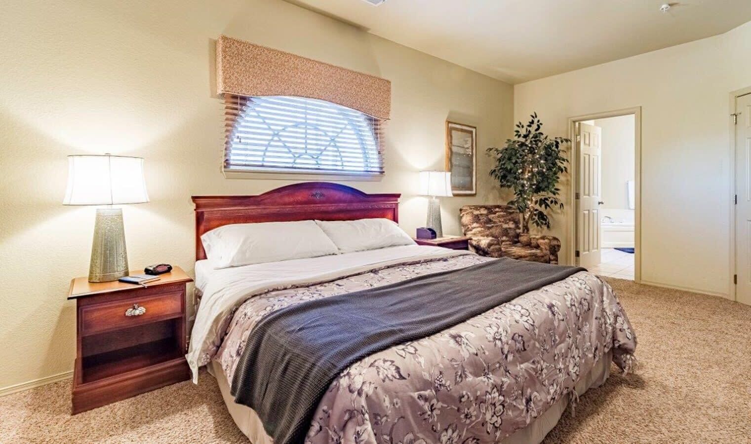Un dormitorio con cama, mesitas de noche, lámpara, ventana con persianas, una planta y una puerta.