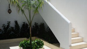 Um pátio com escadaria, uma fonte e uma palmeira.