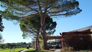 A large tree in a well-maintained grassy area with a building in the background. - Golf & Résidence de Nîmes Vacquerolles (Nîmes)
