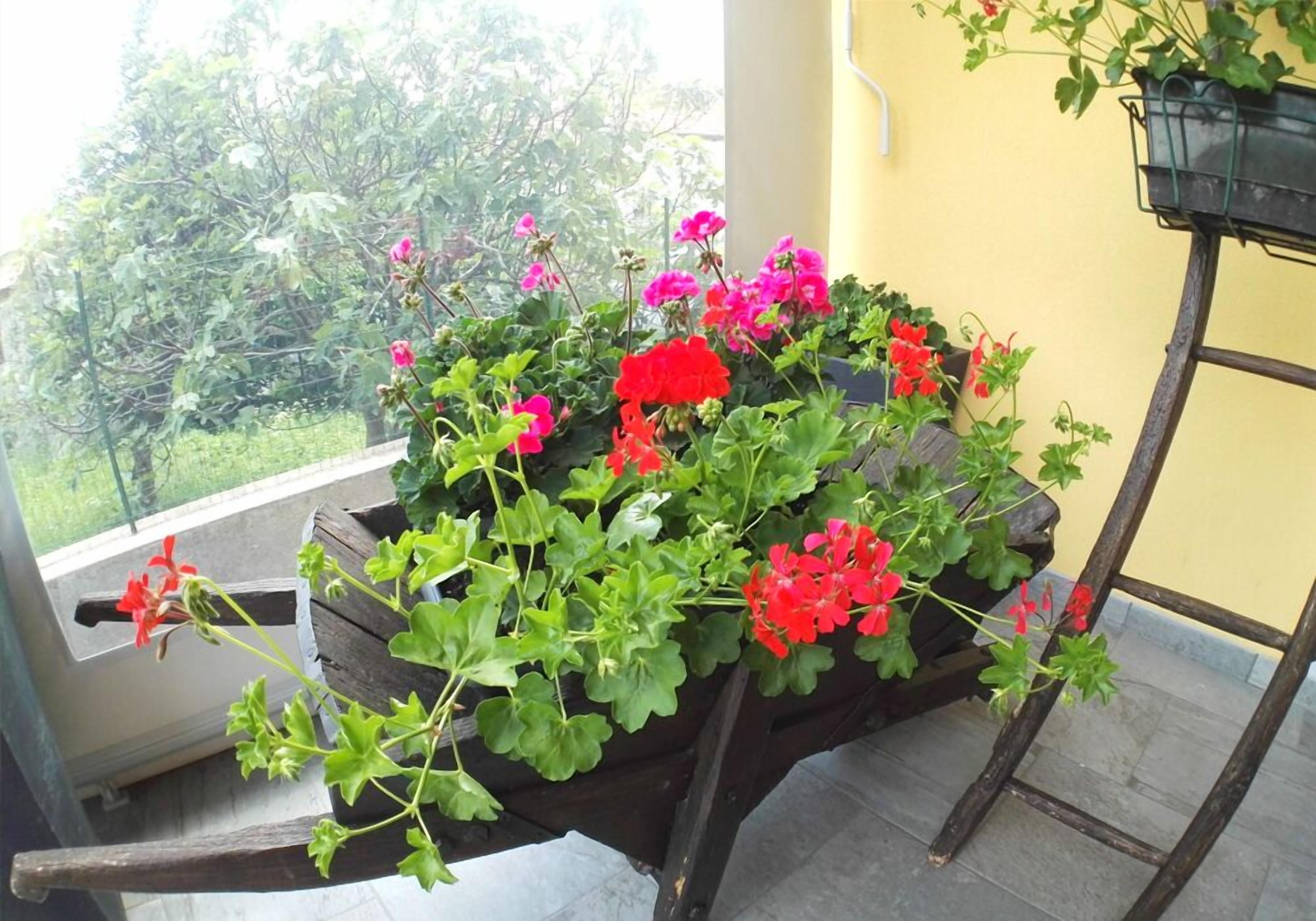 Ein hölzerner Blumenkasten mit roten Blumen auf einem Balkon.