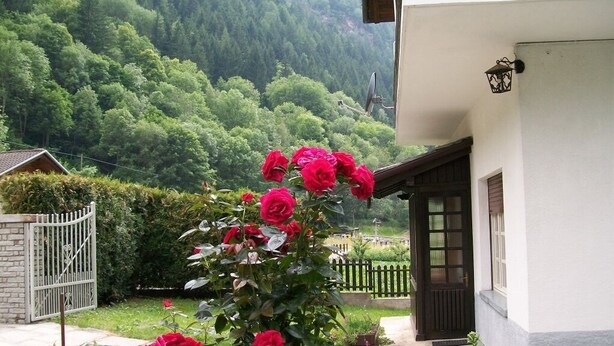 A house with a white exterior, a black door, and a garden with red roses. - Val di Cogne apartment (Vieyes)