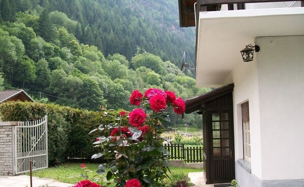 Terrein van de accommodatie