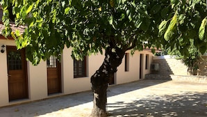 Un patio con un árbol, un edificio de techo a tejas y un muro de piedra.