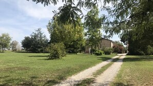 A gravel path leading to a building surrounded by trees and grass. - Agriturismo Cipolli e Podò Corte Carlini (Mantua)