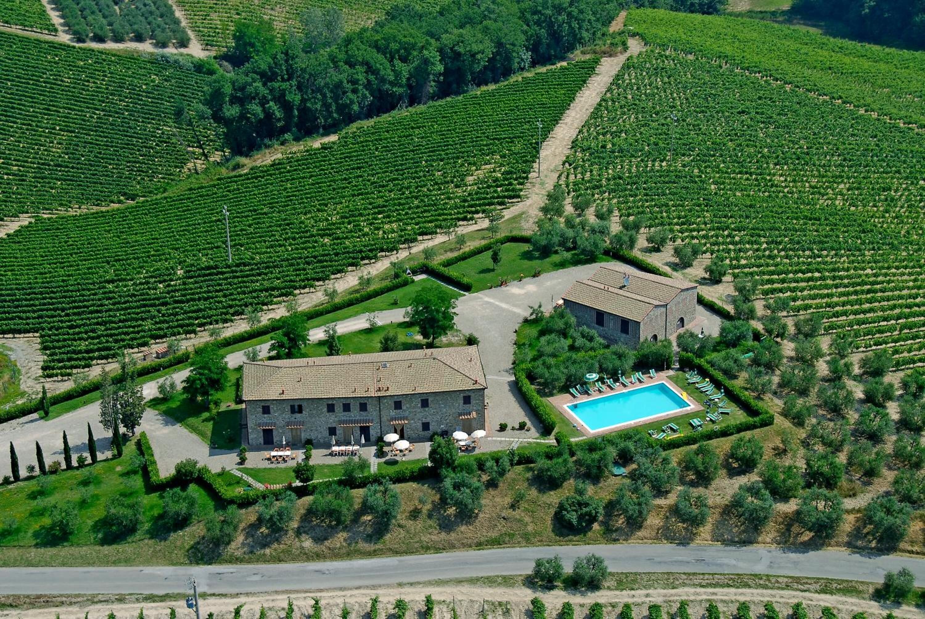 An aerial view of a vineyard with rows of grapevines, a stone building, and a swimming pool with lounge chairs.
