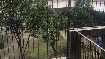 Terraço/pátio