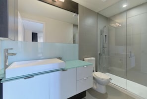 Combined shower/bathtub, hair dryer, towels