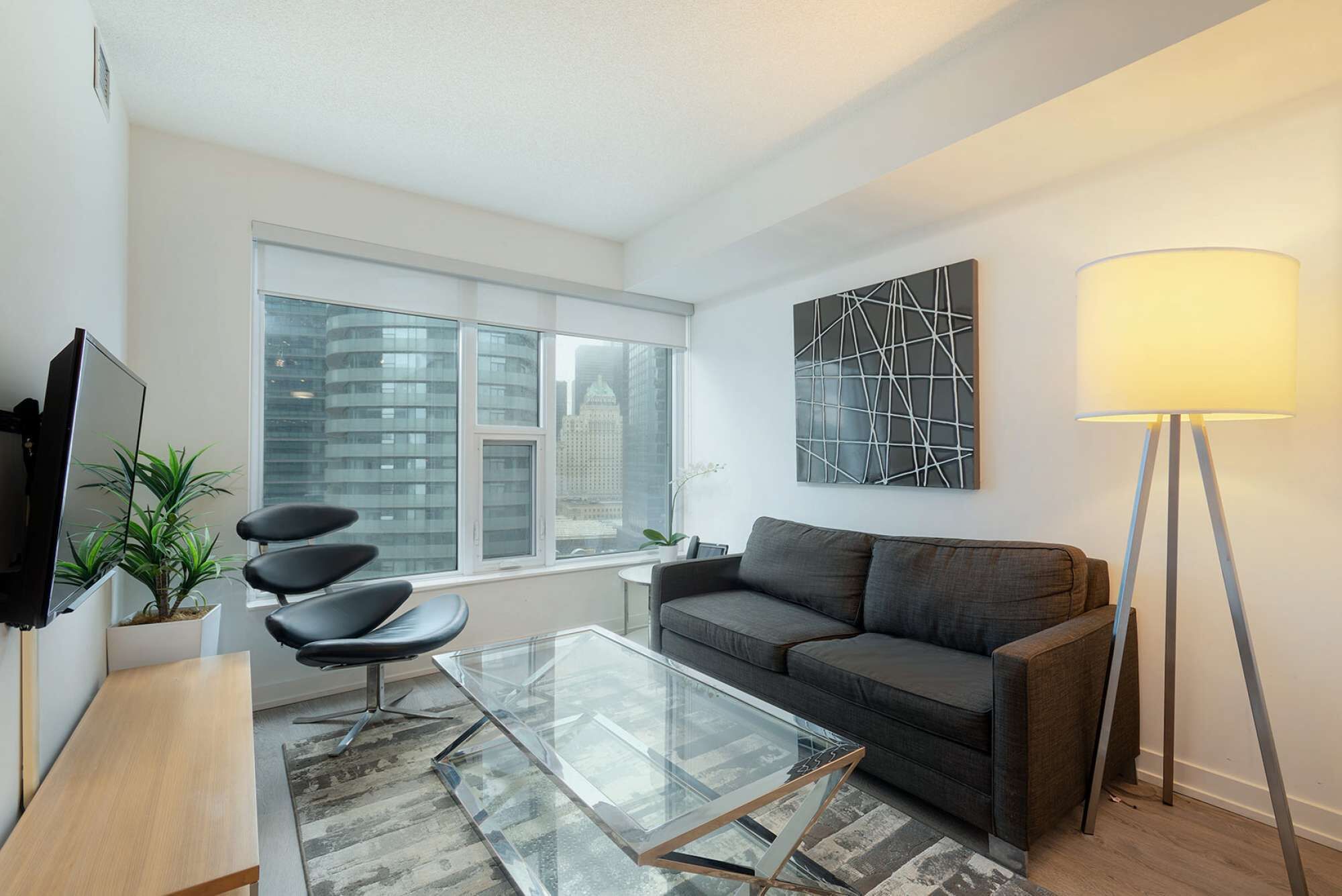 تلفزيون، مشغل دي في دي