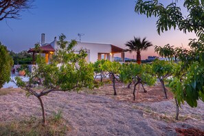 Uma casa moderna com fachada branca e telhado vermelho, cercada por um vinhedo.
