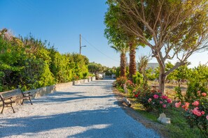 A gravel path with a bench and a stone wall on one side, surrounded by lush greenery and flowering plants. - Villa Chrysalida (Rethymno)