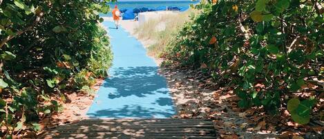 Un sendero de madera que lleva a una playa con sombrillas azules y un cielo despejado.