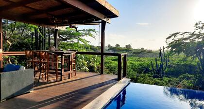 Spacious 4bed - 3bath villa w infinity pool and lush surroundings.