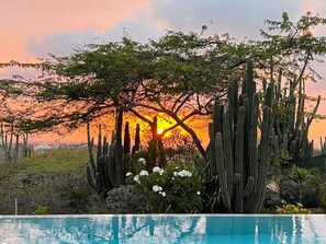 Outdoor pool - Spacious 4bed - 3bath villa w infinity pool and lush surroundings. (oranjestad)