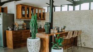 A modern kitchen with wooden cabinets, a central island with bar stools, and a large cactus plant.