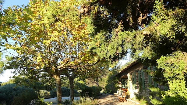 A rustic stone building with a gravel path leading to it, surrounded by dense foliage and trees.