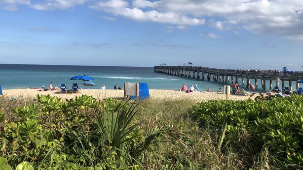 Una playa con un muelle que se adentra en el océano, rodeada de vegetación.
