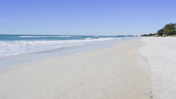 A wide sandy beach with gentle waves, a clear blue sky, and a line of trees in the distance. - Ocean Park Terrace 202 · Ocean Park 202 · Rooftop Deck · 1-Month Min (Bradenton Beach)